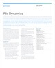 File Dynamics