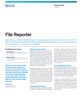 File Reporter