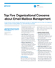 Top Five Organizational Concerns about Email Mailbox Management