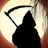 Evaluadores vistos por los programadores