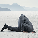 Analistas empresariales vistos por evaluadores