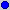 Blue Mark Symbol