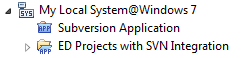 SVN in Local System