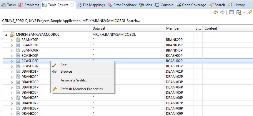 MVS Project Sample Application Search Member Type