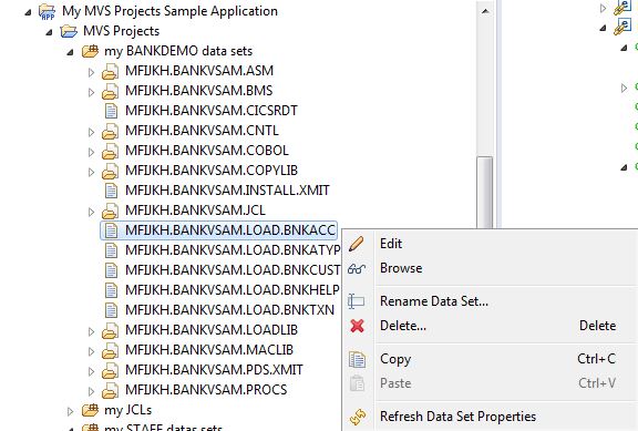 MVS Project Sample Application PS Data Set Type