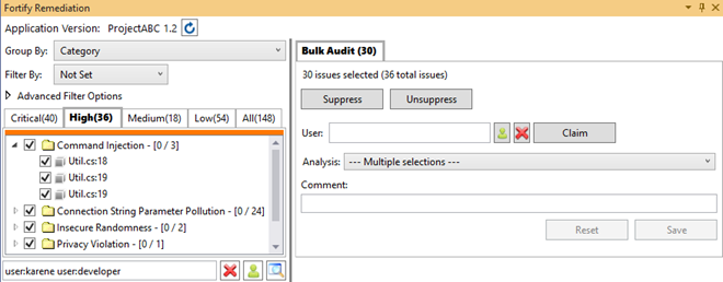 Bulk Audit tab Bulk Audit tab