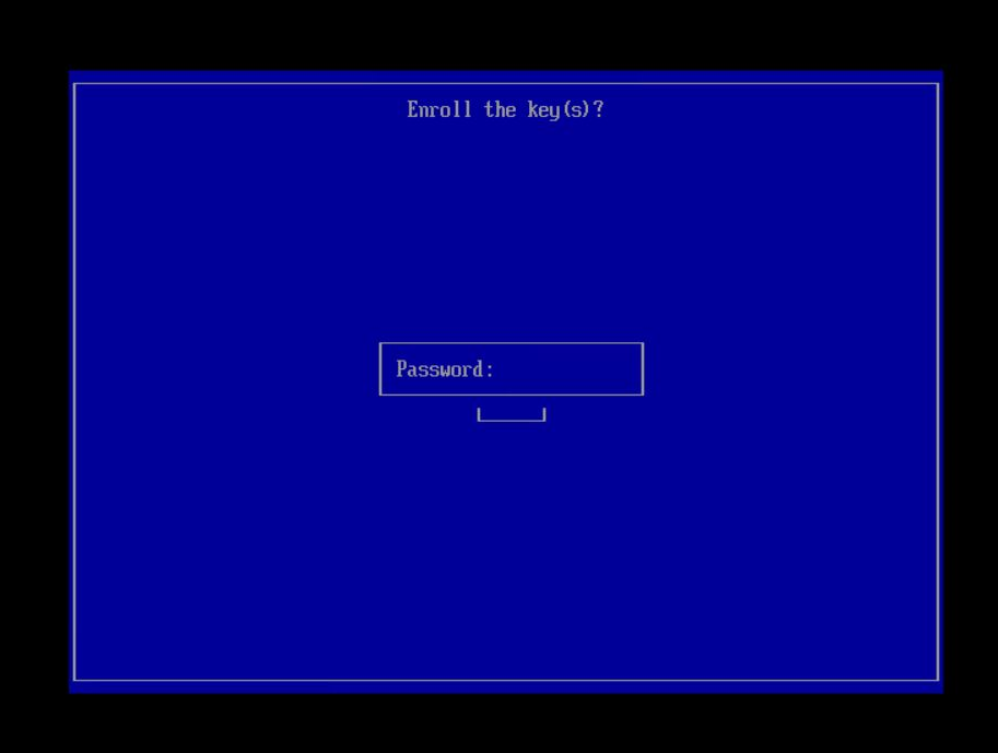 Deploying OES in a UEFI Secure Boot Environment OES 2023