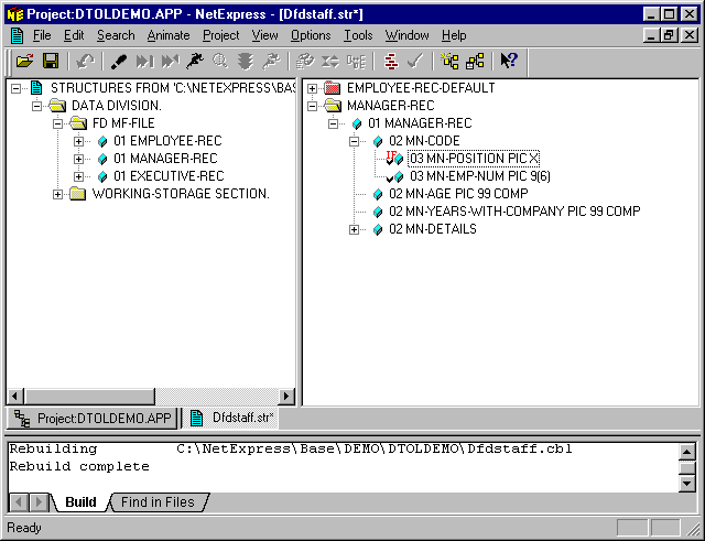 The Record Layout Editor Window