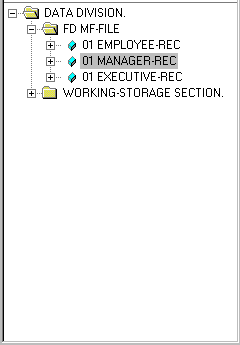 The Data Division View