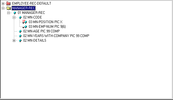 The Record Layout View