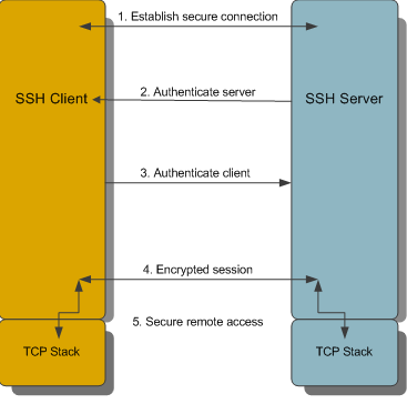 SSH Diagram