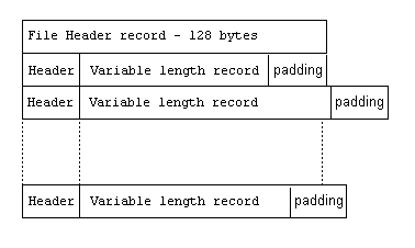 Variable Format Record Sequential File Structure