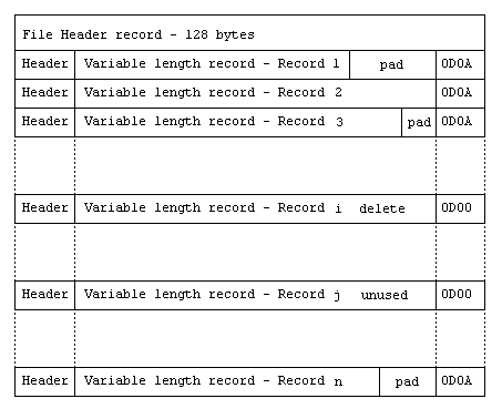 Relative File with Variable Length Records