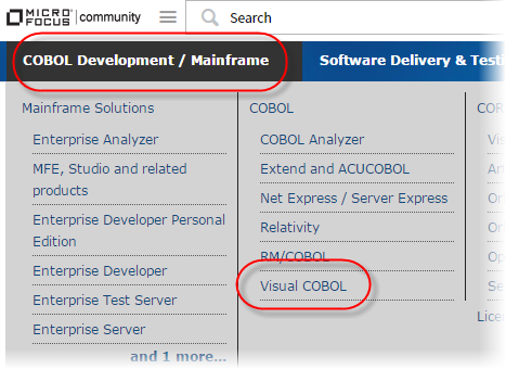 Visual COBOL group