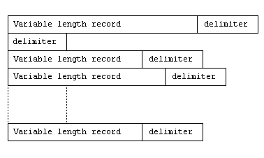 Line Sequential File Structure
