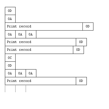 Printer Sequential File Structure