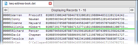 Data file showing record insertion indicator