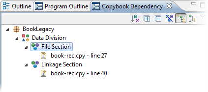 Copybook structure example