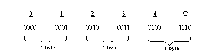 Diagram depicting storage for the number +1234 for COMPUTATIONAL-3 and PICTURE S9999